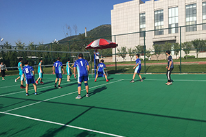 我公司在2017年普灣經濟區(qū)職工排球賽中獲得佳績